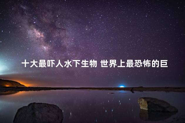 十大最吓人水下生物 世界上最恐怖的巨齿鲨